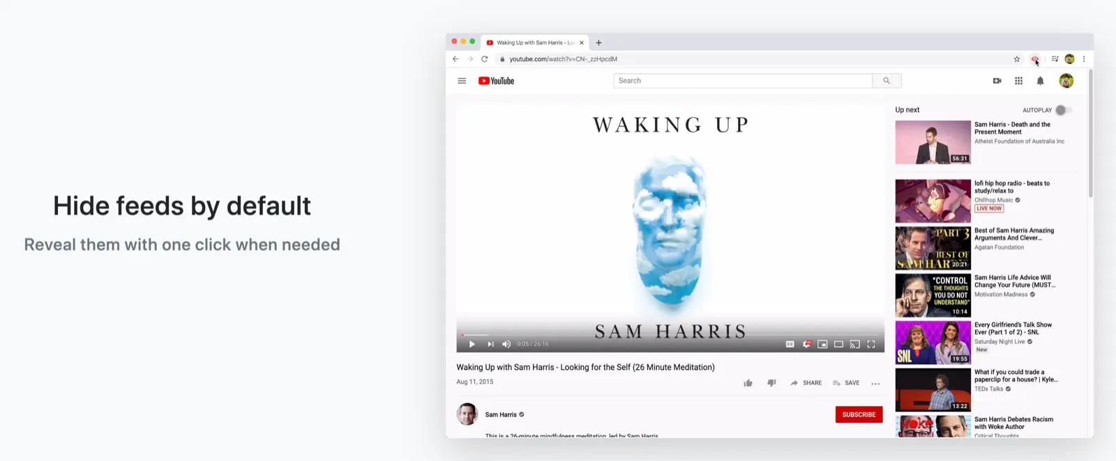 “Reveal them with one click when needed” + example video